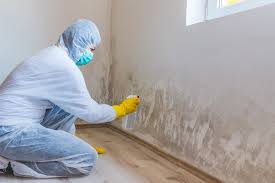 Best Mold Removal for HVAC Installations  in Louisville, OH