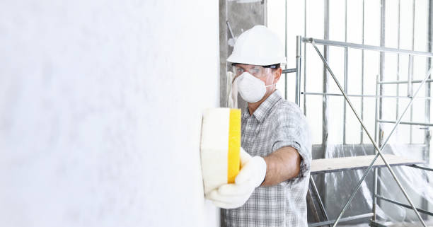 Why You Should Choose Our Mold Remediation Services in Louisville, OH