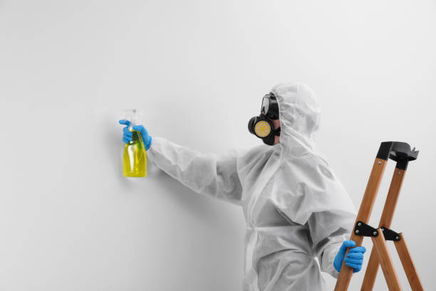 Best Asbestos and Lead Testing During Mold Inspection  in Louisville, OH